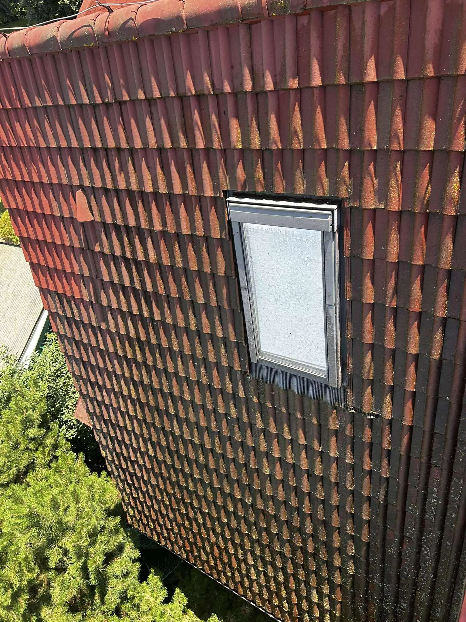 Before Image
