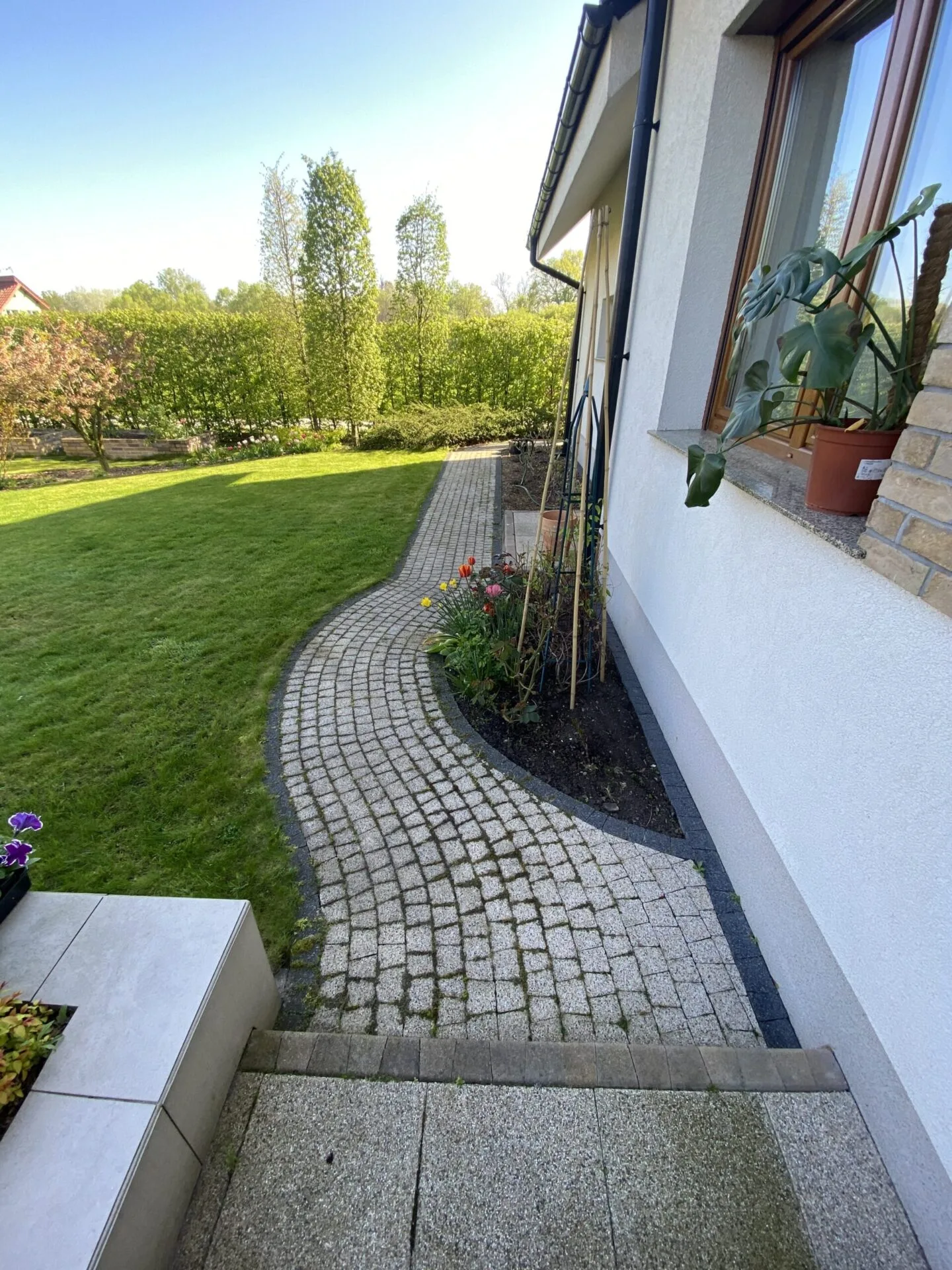 Before Image