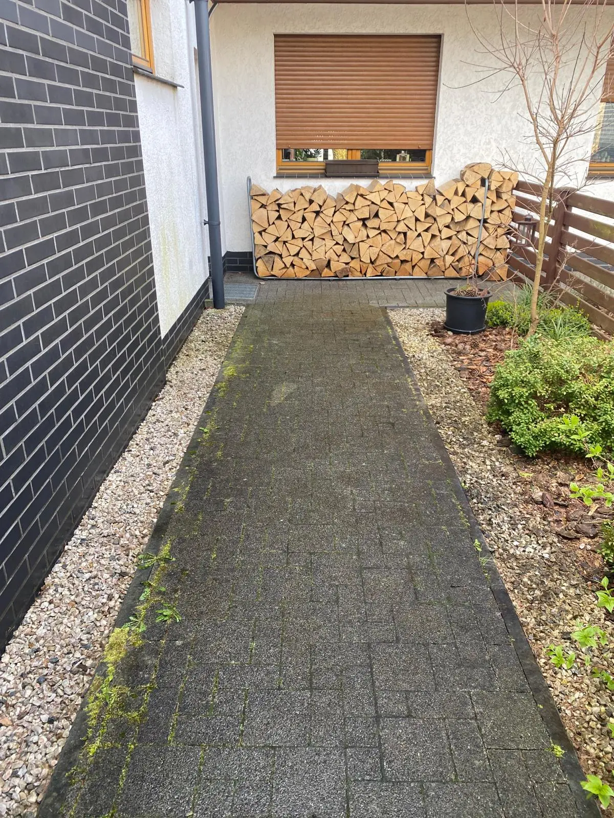 Before Image