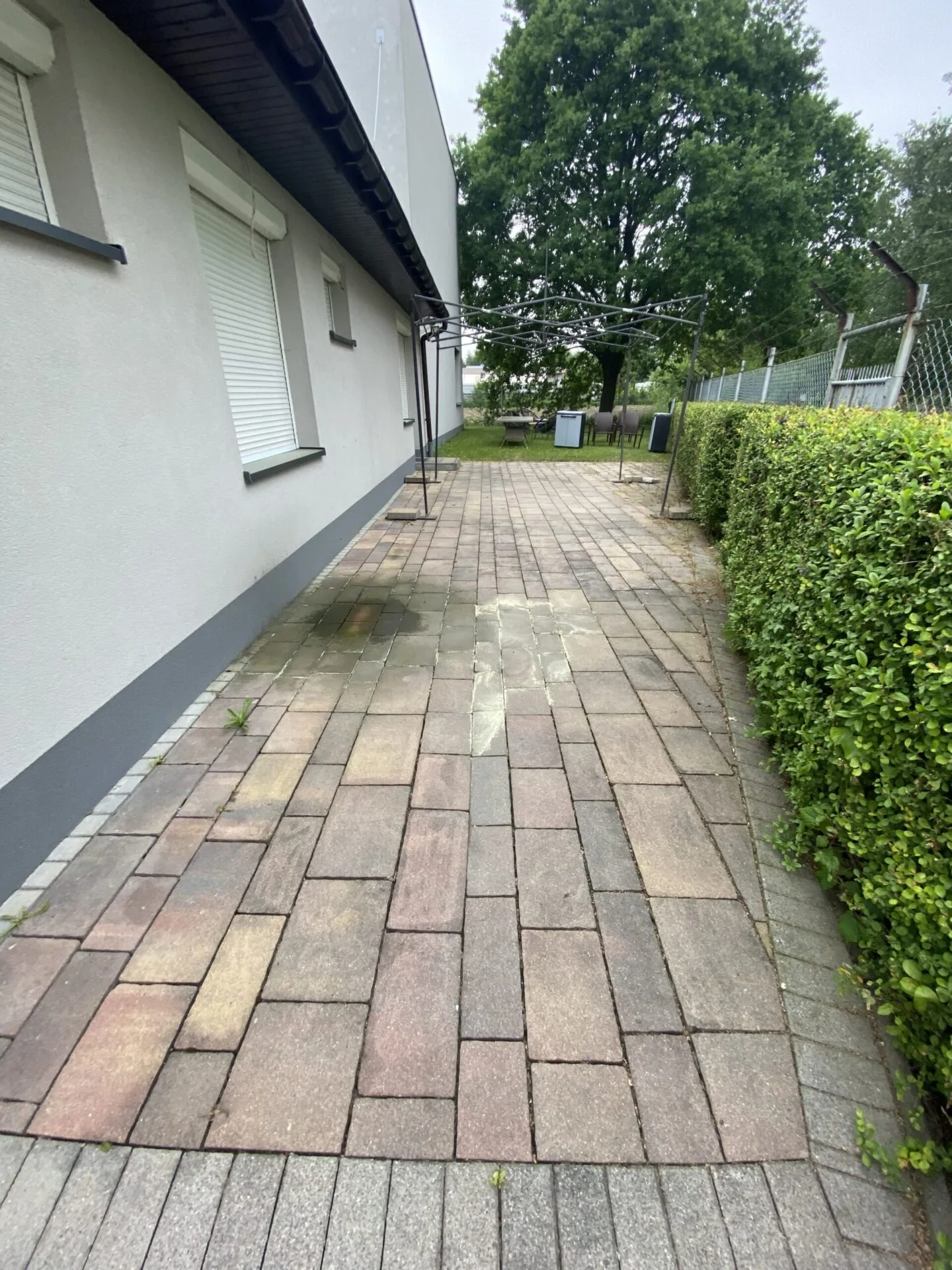Before Image